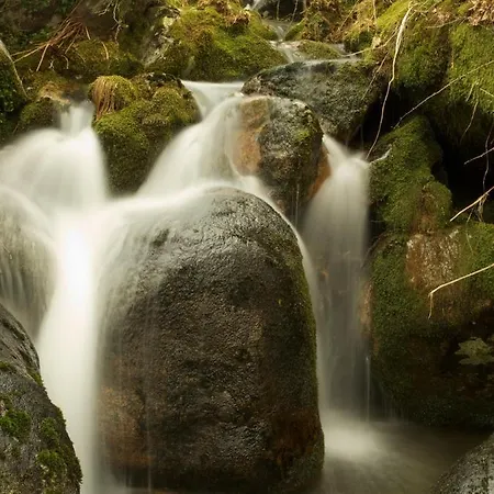 Luxurious In - Private Pool Vieira do Minho