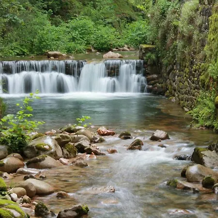 Luxurious In - Private Pool *
