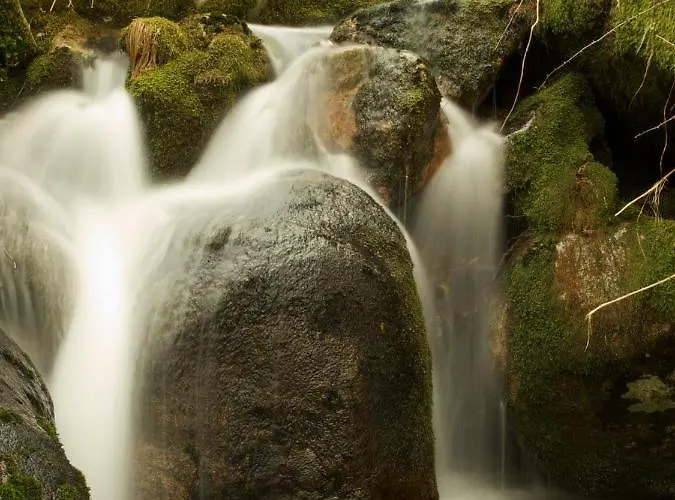 Luxurious In - Private Pool Vieira do Minho