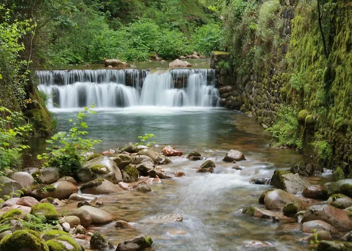 Luxurious In - Private Pool *